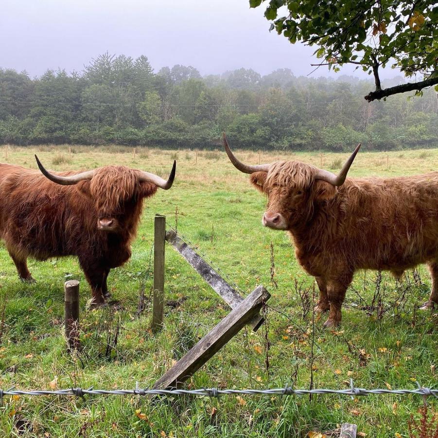 Alderdale B&B Luss Luaran gambar
